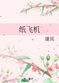 纸飞机